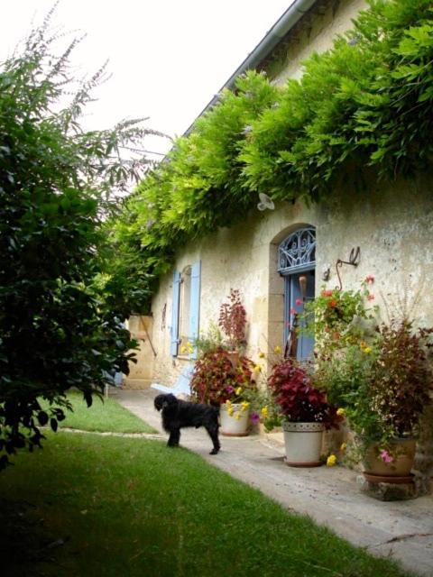 La Petite Provence De Touron Bed & Breakfast Pujols  Екстериор снимка